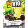 COMPO BIO Trauermückenfänger - 5 Stück