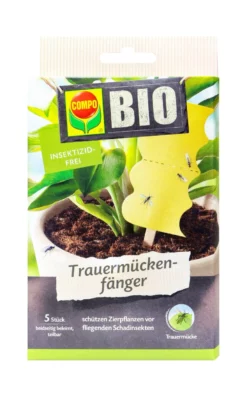 COMPO BIO Trauermückenfänger - 5 Stück