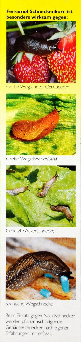 Neudorff Ferramol Schneckenkorn - 500 G – Bild 4